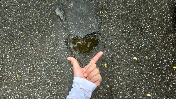 月眉坑瀑布步道.卯澳.雙柑公路2224799