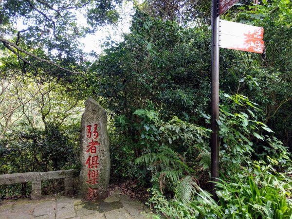 《觀音山步道》福隆山步道、硬漢嶺步道、楓櫃斗湖步道、林梢步道 (2020/8/16)1433280