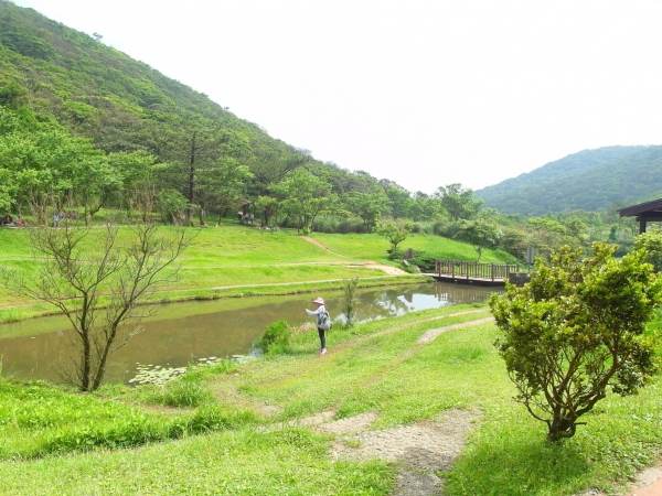 二子坪 面天山 向天山步道 大屯山西峰39759