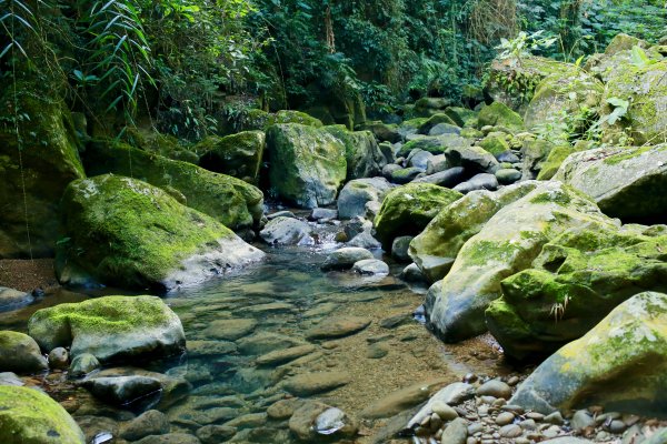 南坪古道：油羅溪上游814435