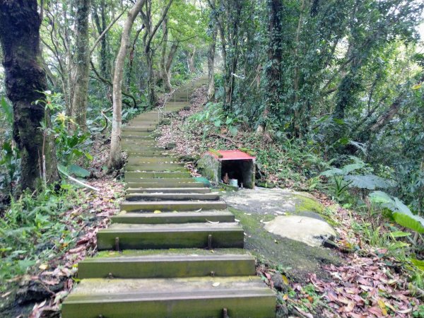新店小獅山訪11座涼亭縱走待老坑山尋山頭902183