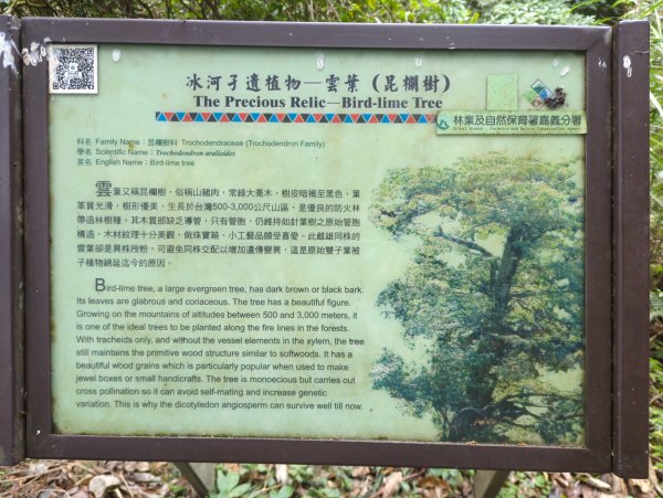 2026.02.14－特富野古道3013699