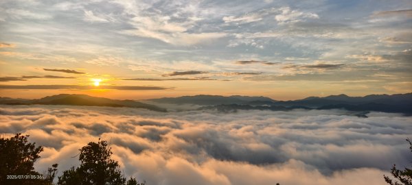 跟著雲海達人山友追雲趣 #石碇後山 #雲海 #霞光 #日出 #火燒雲 7/312848506