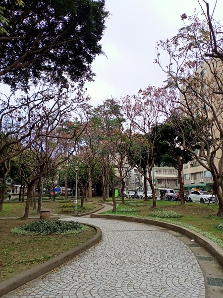 春暖花開的內湖文德三號公園、瑞陽公園、大港墘公園【齊心鞋力向前走】2025364