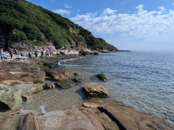 🌈8/16（日）金山神秘海岸+維納斯海岸駱駝峰+野柳地質公園FB：熊熊趴爬走(富裕登山社)🌈3107617