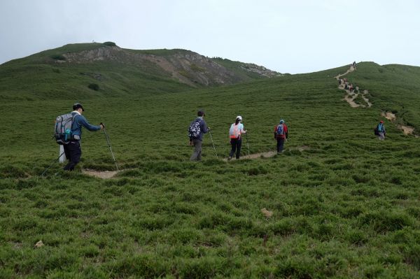 合歡北峰+小溪營地(小O型路線)~水啦~389129