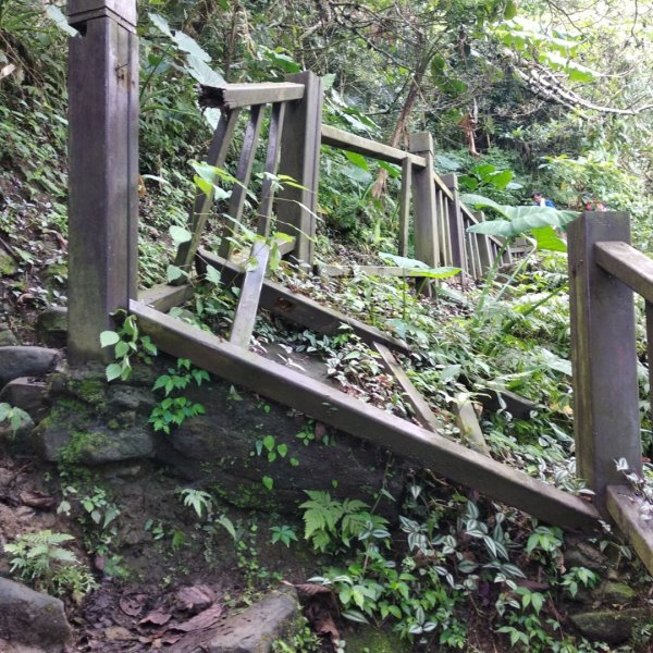 步道巡訪員 l 崁頭山步道巡訪員8月份巡禮1054215