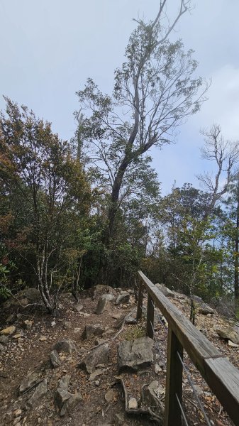 【美美兔走山趣】谷關抓雄-老六白毛2749981