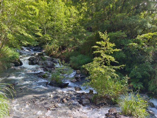 兩颱風之間空擋登屏風山巧遇保育類動物+出大景2237825