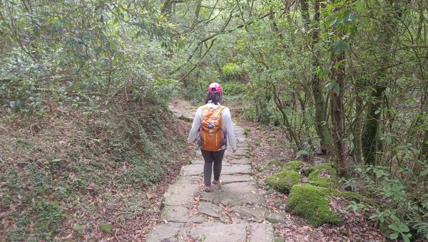 (姨婆趴趴走)第五十一集:台北冷擎步道、金包里大路(魚路古道)2757246