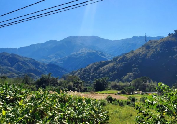 【中級山】插天山的奇幻世界，赫威山，赫威神木群步道2741292