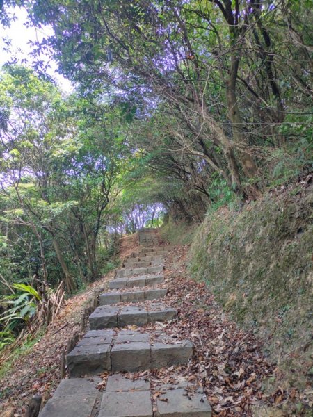 2023/7/19 小百岳：［基隆山］+九份老街2226848