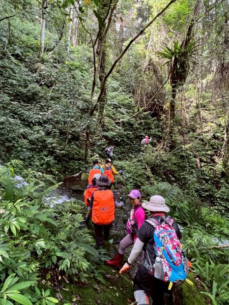 鵝公髻山採桃趣-202505302865302