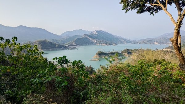 西阿里關山3033634