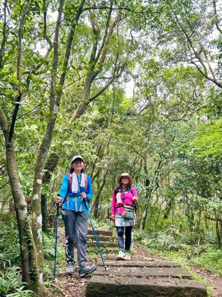 大溪漁港越嶺桃源谷下大里天公廟(蕃薯寮山 福德山 灣坑頭山/小百岳#82)3054174