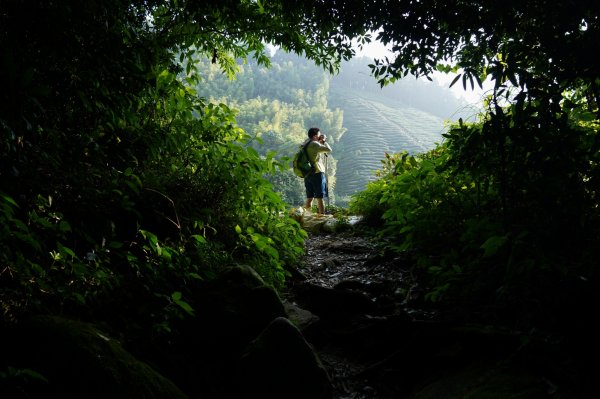 2022.09.20 留龍頭、忘憂森林、嶺頭山 輕鬆走走1850637