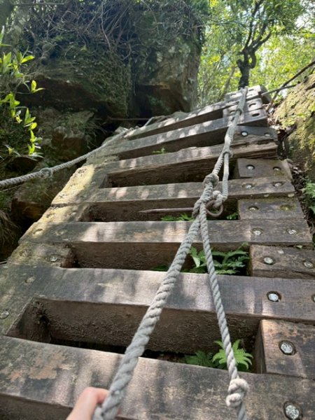 20250502 安坑七山2775093