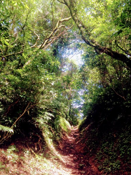 淡蘭古道中路【崩山坑-石空段】640670
