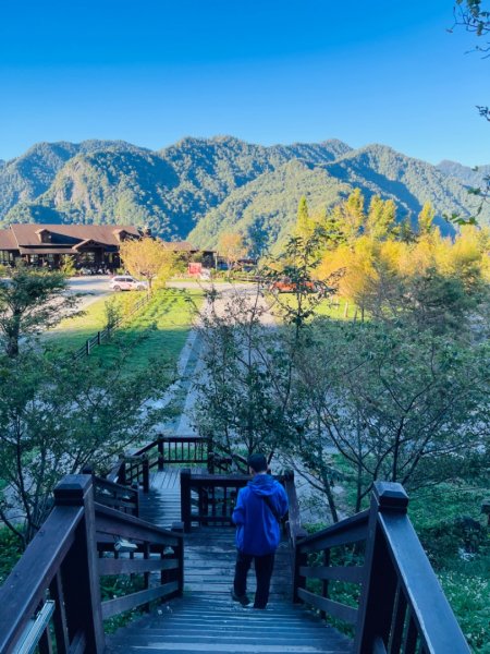 1140825司馬庫斯新巨木園區-司立富瀑布-部落觀景台2871140