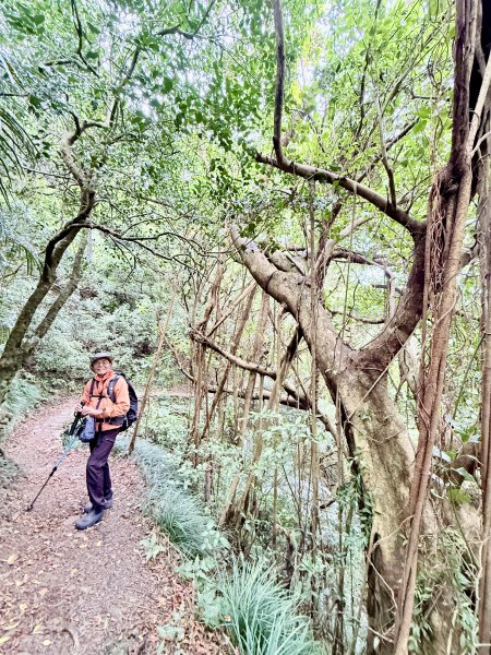 雙流帽子山悠遊  2025.01.032688542