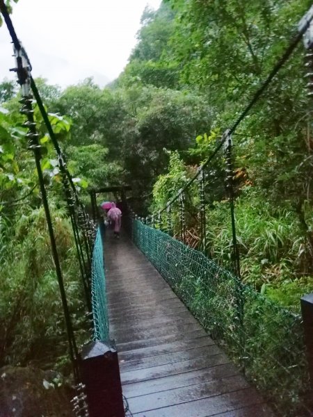 青山綠水雲霧繚繞。 綠水合流步道769467