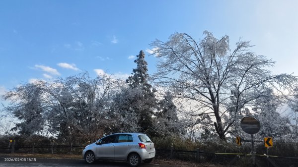 #霧淞 #雲海 #雲瀑 #霧虹 #太平山 #望洋山 #觀雲步道 #翠峰道路  2/82995278