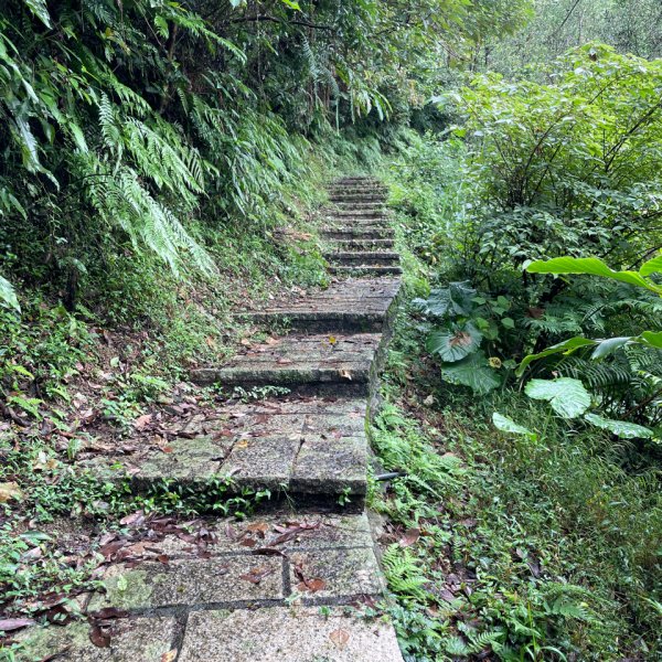 新北-土庫岳 大O1951424