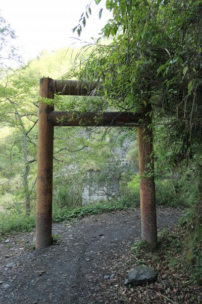 190414-奇萊南峰、南華山1650165