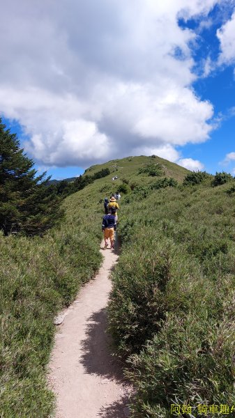 石門山登山步道1827824