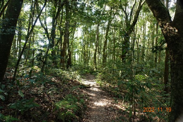 南投 信義 西巒大山1922271