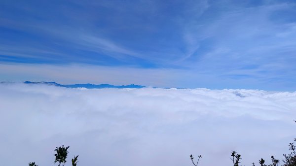 鳶嘴山美呆了~滿滿的雲海~1884286