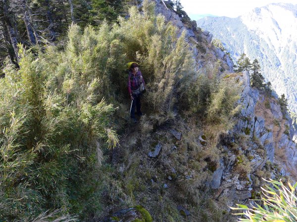 大好天氣的奇萊東稜488945