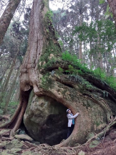 二萬坪步道