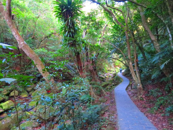 龍年首登的好選擇，鯉躍龍門，搭捷運來內湖爬三尖，鯉魚山、忠勇山、圓覺尖2426557