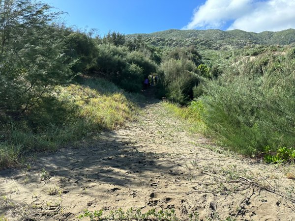 九棚鼻頭草原生態之旅1878009