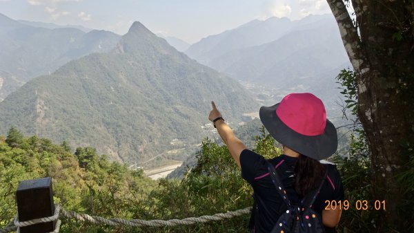 谷關七雄白毛山步道590489