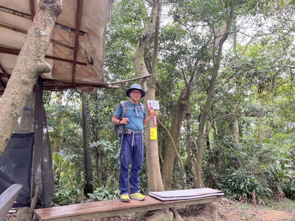 [微笑山線_第一段] 2025_0720 大棟山系_鎮遠山2843578