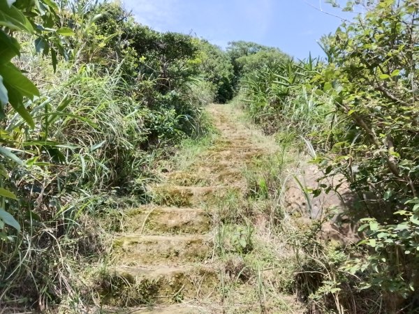 瑞芳區海園古道+鼻頭山稜+門牙岩O型2768346