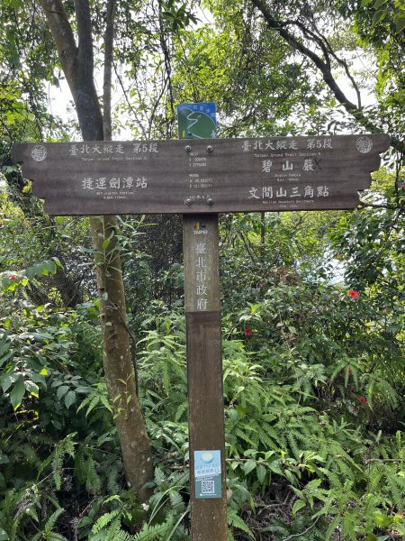 2024_0804 文間山2566400