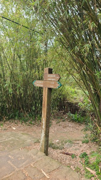 2026-0116 大屯三山_貴子坑_北投2984771