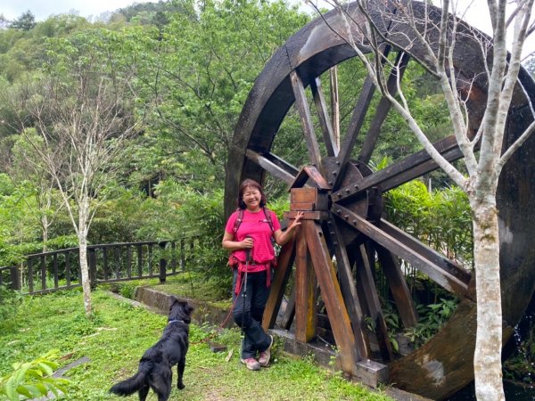 梅山鄉瑞里青年嶺步道、賞紫藤花、圓潭自然生態步道1656437