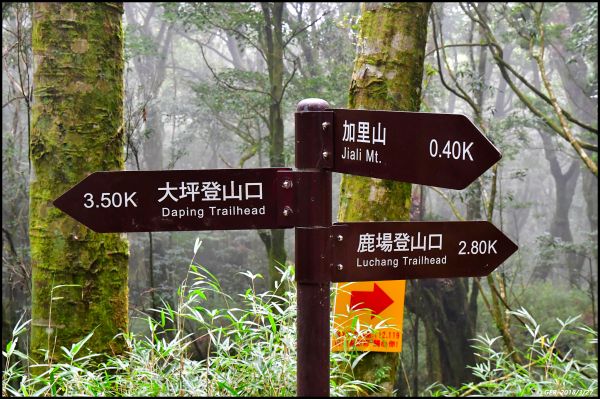 加里山 ~ 大坪經杜鵑嶺小O環走300046