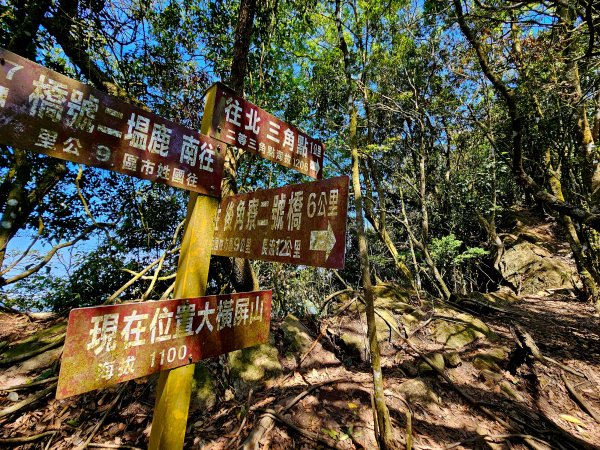 小百岳集起來-大橫屏山2185712