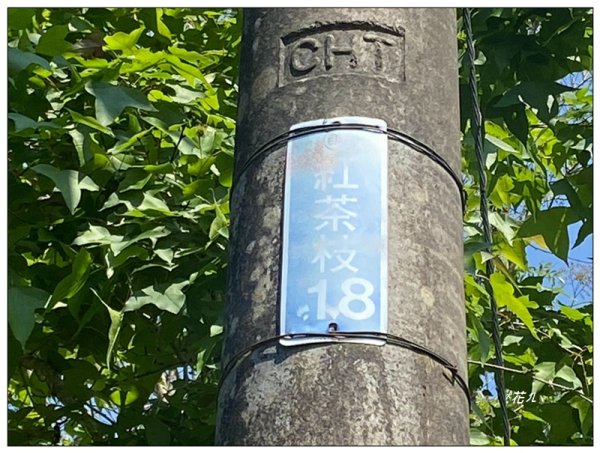 貓囒山 好多基石 (日月潭)2834884