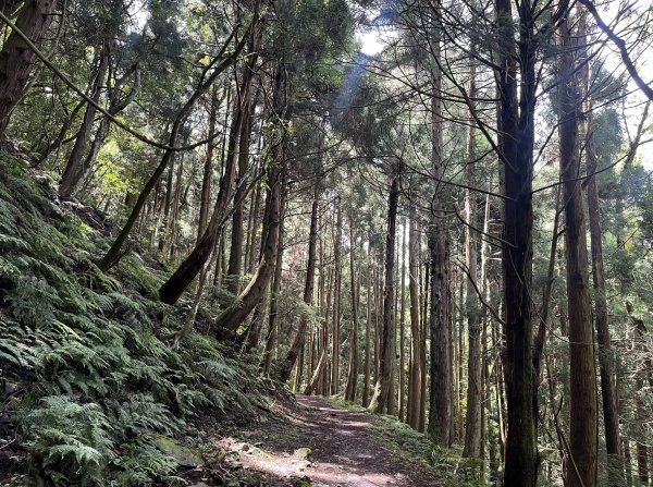 2025_0622 霞喀羅國家步道(石鹿端)2819529