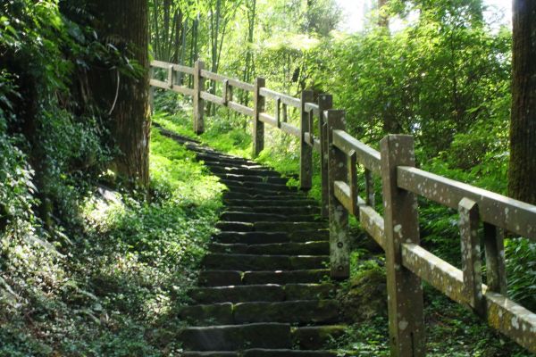 奮起湖步道194610