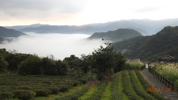 [縮時攝影雲山水] 坪林南山寺日出雲海&慈瑤宮12/26