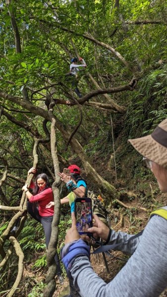 東勢大崙、東勢坑山、觀音湖山O走2986335