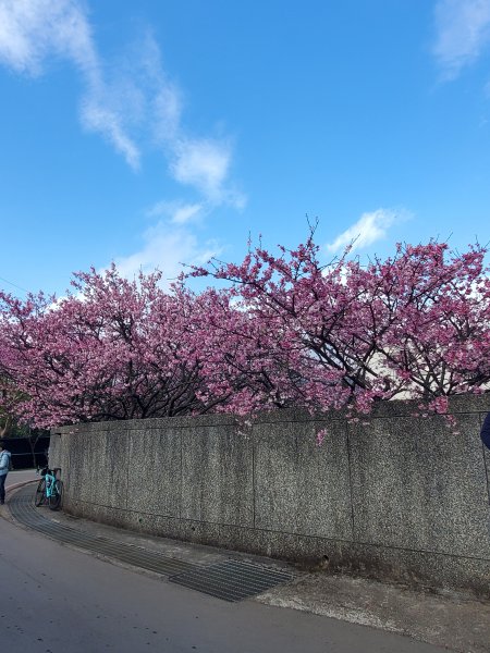 鵝尾山水田＞平菁街賞櫻＞坪頂新圳＞坪頂古圳＞溪和宮