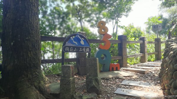 《台中》虎頭蜂巢｜大坑5號登頭嵙山黑松亭（聖普宮）202508092855088